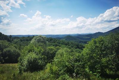 Teren de 42500 mp, în Barbura - 6
