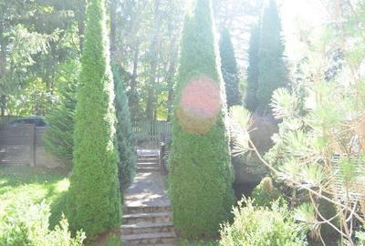 Vila de vacanta situata in Predeal-Cioplea - 6