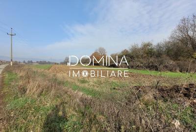 Teren Construcții intravilan de 1654 mp, în Ursați - 4