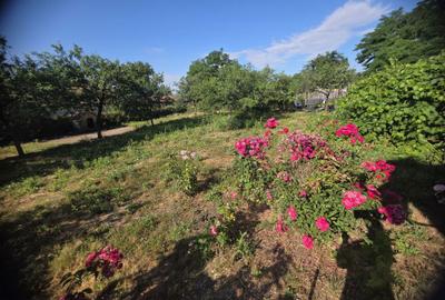 Casă cu 4 camere în Florica - 8