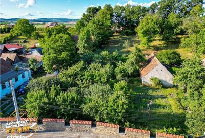 Spațiu comercial, în Arcuș - 6