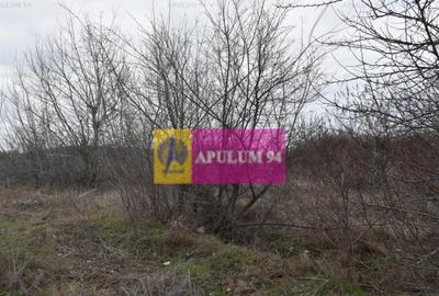 Teren cu potential comercial, bun pentru Showroom. - 6