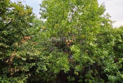 Apartament 4 camere, etajul 3/4, 2 grupuri sanitare, balcon mare, imbunatatiri - 54