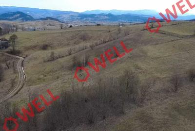 Teren intravilan de 4200 mp, în Sărămaș - 5