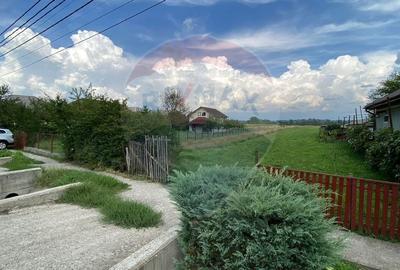Teren 13,000mp Satulung / Soseaua Principala - 3