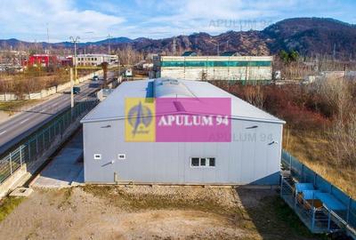 Hala industrială de producție - 4
