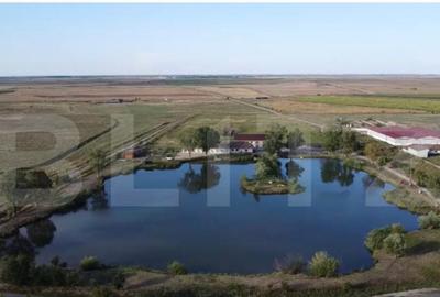 Proprietate unica 12.000 mp teren intravilan + imobile - 5