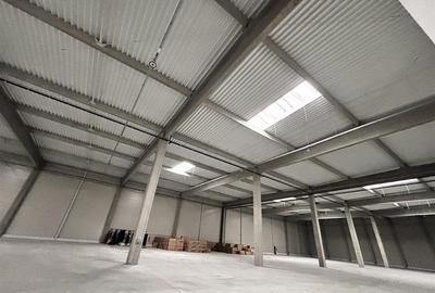 Spațiu comercial, de 7,014 mp, în Biharia - 14