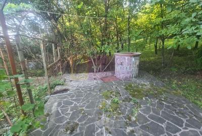Casa de vanzare in Breaza - Zona Capul Campului - 39