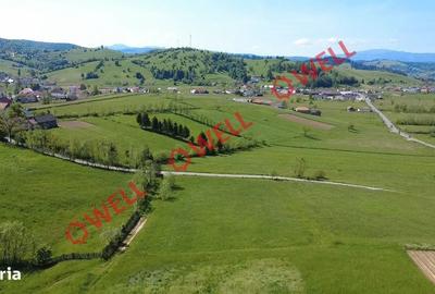 Spațiu comercial, în Barcani - 7