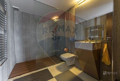 Penthouse de inchiriat in zona Micalaca - 6