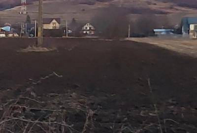 Teren de 4730 mp, în Boldești - 3