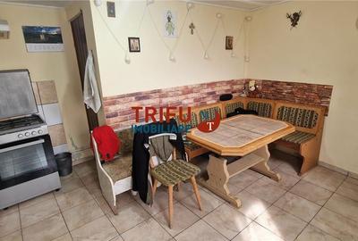 Casă cu 2 camere cu Teren 437 Mp în Ighiu - 5