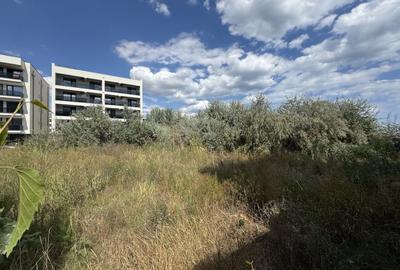 Mamaia Nord - Plaja MANARA teren 1000 mp 36 deschidere - 4