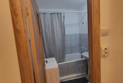 De inchiriat apartament  2 camere Titulescu-Piata Victoriei 550 euro - 5