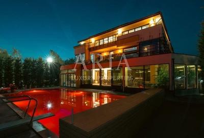 Vila grandioasa, Gradina Japoneza, SPA, Crama, Teren Tenis, Foisor, Iaz Pesti - 2