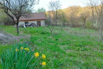 Casă cu 3 camere cu Teren 5200 Mp în Schela - 7