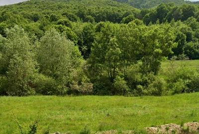 Spațiu comercial, în Măieruș - 3