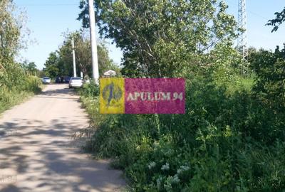 Teren Construcții intravilan de 5000 mp, în Copăceni - 3