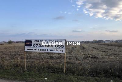 Teren de 15800 mp, în Corbeanca