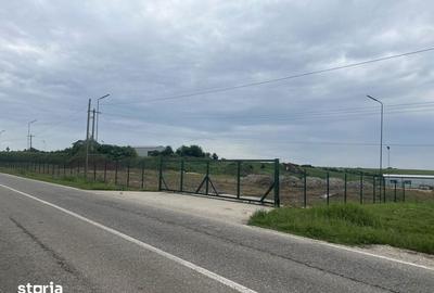 Teren de 3500 mp, în Bradu - 2