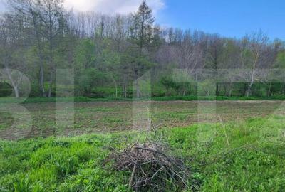 Teren 6650 mp, cu casa nefinalizata de 111 mp, in Nisipoasa - 11