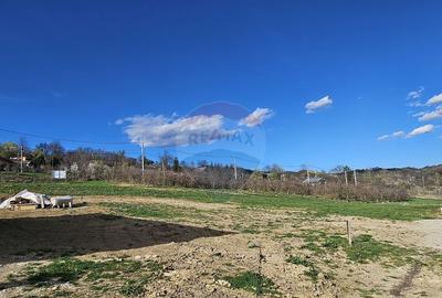 15 parcele de 1000 mp de vanzare in Breaza Prahova- toate... - 2