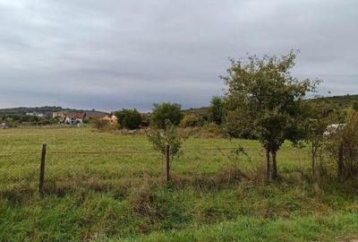 Teren intravilan 8000 mp , DR.D.Vechi - 8