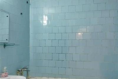 Apartament 3 camere Dristor Kaufland - 4