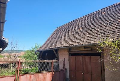 Casa la tara cu moara si trifazic laslau mare, Mures - 4