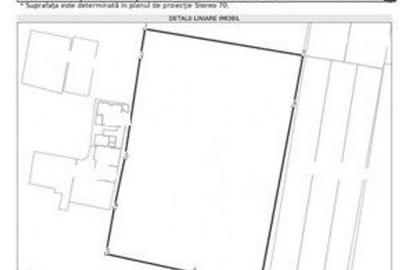 Teren de inchiriat in Berceni - 1