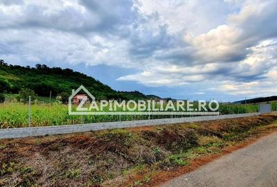 Teren Construcții intravilan de 2500 mp, în Livezeni