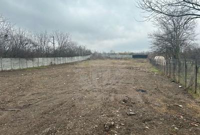 Teren Construcții intravilan de 2490 mp, în Mihai Bravu - 2