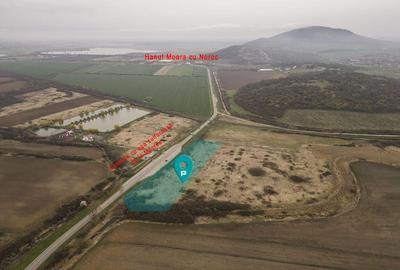 Teren extravilan in Ineu - 14