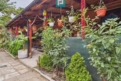 Casa la curte comuna, zona Iosefin - 10