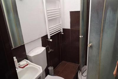 Garsonieră nedecomandată în Elisabetin - 7