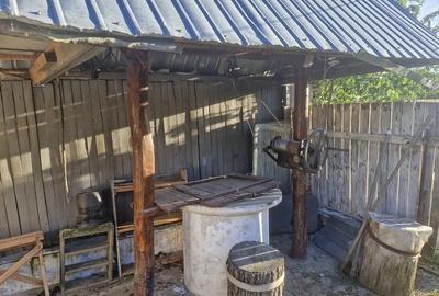 Casă cu 4 camere cu Teren 1900 Mp în Bolovani - 2