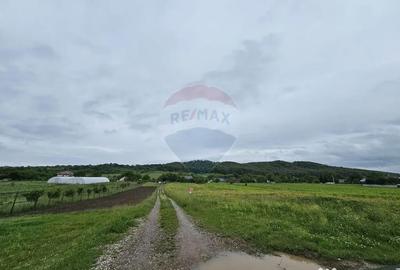 Teren de 1495 mp, în Dobreni - 12