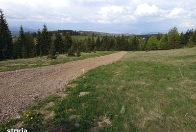 Teren de 700 mp, în Tiha Bârgăului - 2