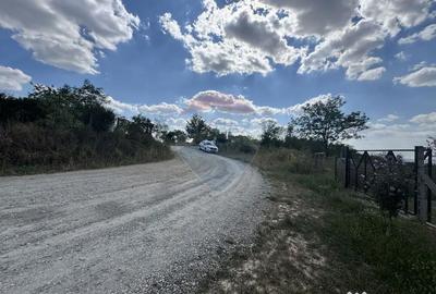 Teren de 6372 mp, în Paleu - 11