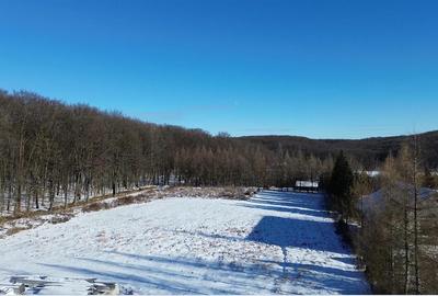 Teren Construcții intravilan de 9850 mp, în Dragomirna - 10