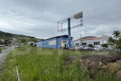 Teren de 11 ari la drumul principal in Vii?oara ideal - 8