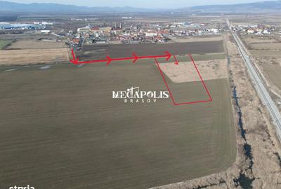 Teren de 700 mp, în Bod - 6