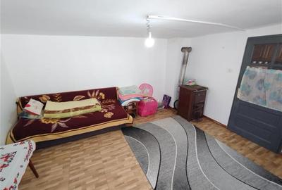 Casă individuală cu 8 camere cu Teren 3800 Mp în Răchitova - 17