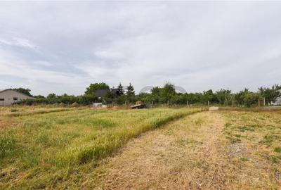 Casă cu 1 camere cu Teren 800 Mp în Tărian - 1