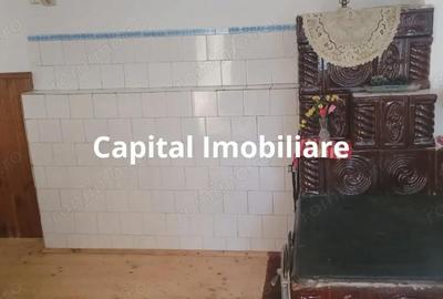 Casă cu Teren 1500 Mp în Valea Doftanei - 8