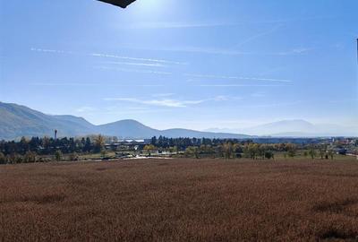 Apartament cu 2 camere decomandat, mobilat în Avantgarden - 16