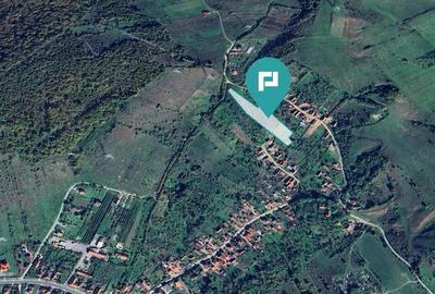 Teren faneata langa padure - Hunedoara - 3