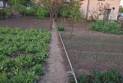 Casă cu 3 camere în Central - 1