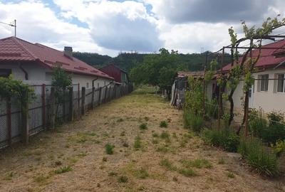 Casă cu 4 camere în Topliceni - 5
